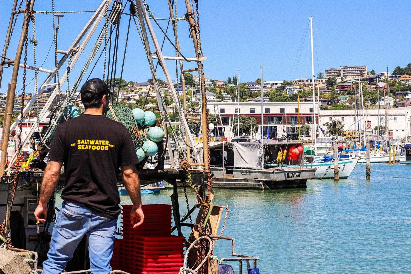Saltwater Seafoods Website